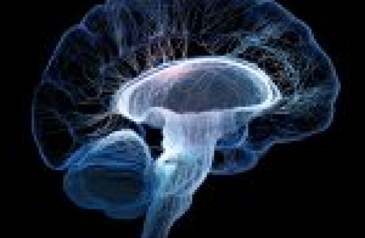Brain nerves illustration