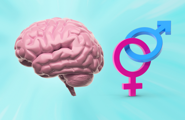 Brain Gender