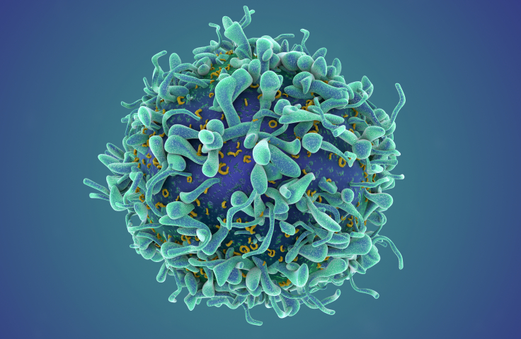 Triple I research theme image of virus cell